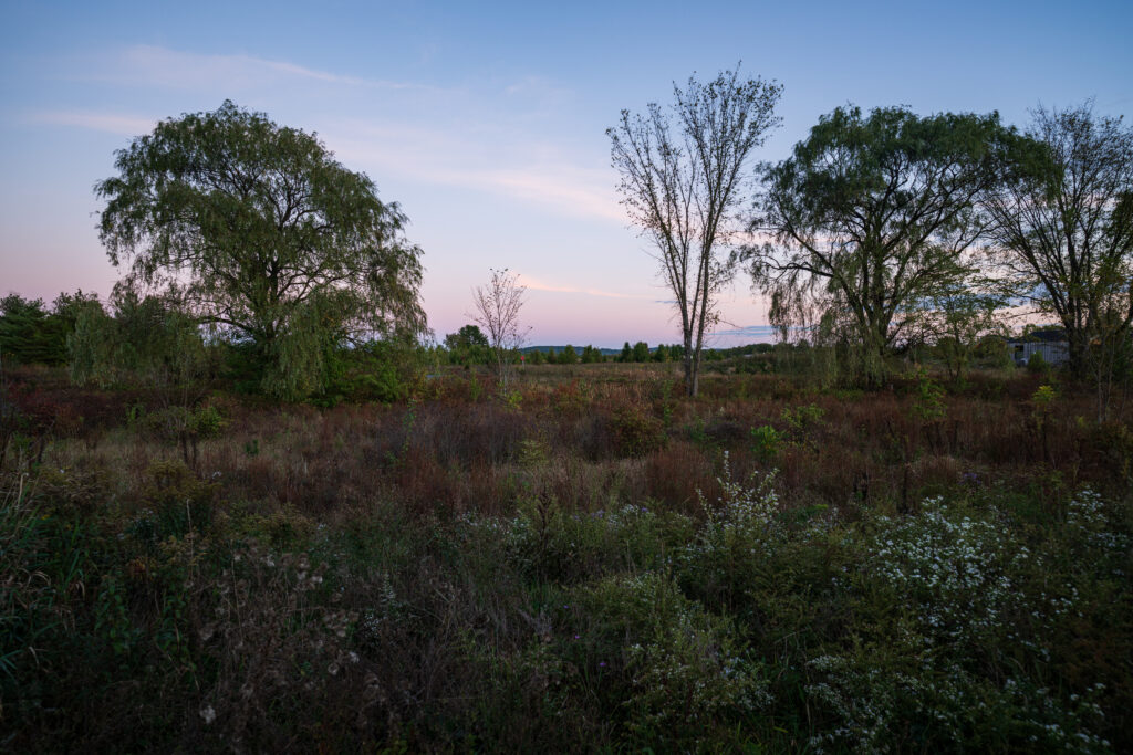 Wild Flower Farms in Gardiner NY