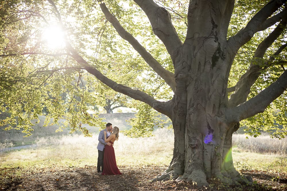 a couple kisses under a big tree during their engagement session at Rockwood Hall